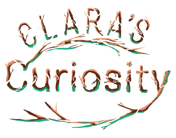 Clara’s Curiosity: children’s book illustrations Logo